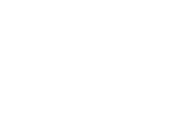 K.Vivo